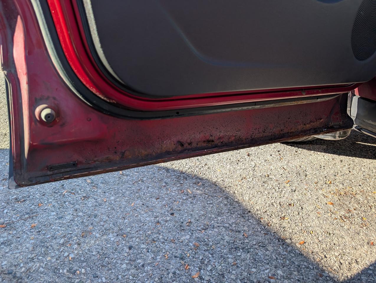 2015 Ford Escape SE FWD Photo3