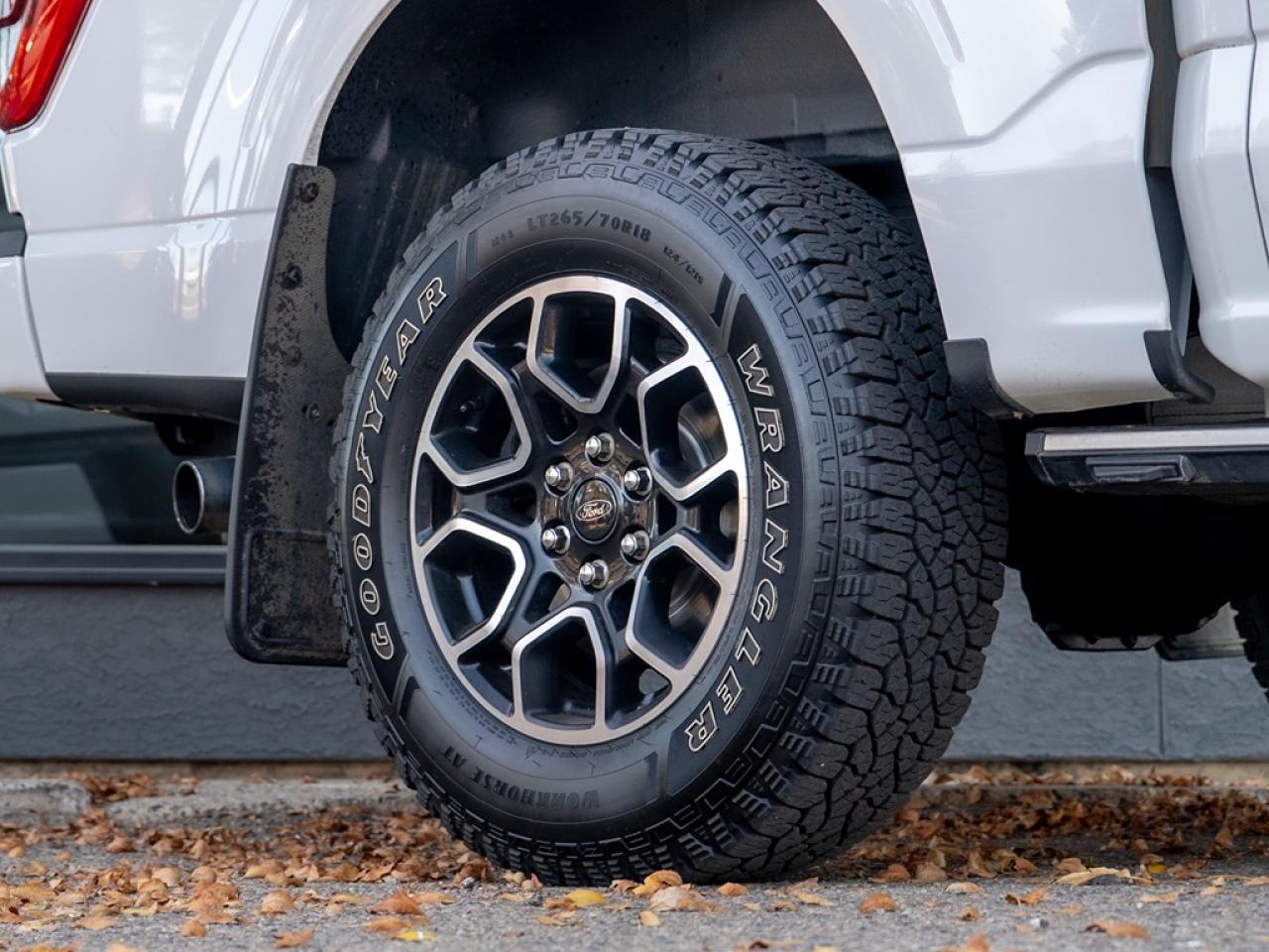 2021 Ford F-150 Lariat Photo3