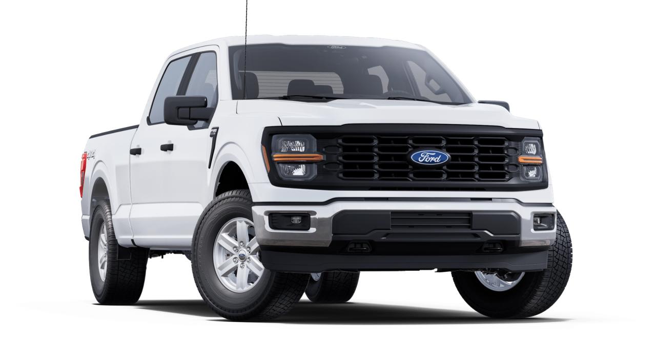 2025 Ford F-150 XL 4WD SUPERCREW 6.5' BOX Photo3