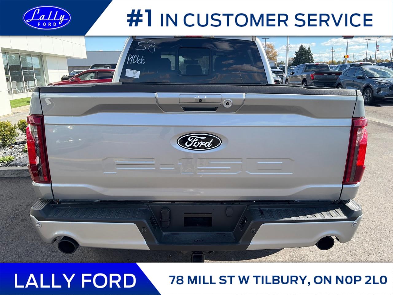 2025 Ford F-150 XLT Photo3