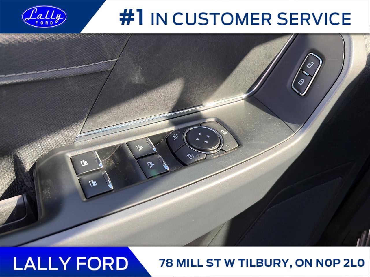 2025 Ford F-150 XLT Photo