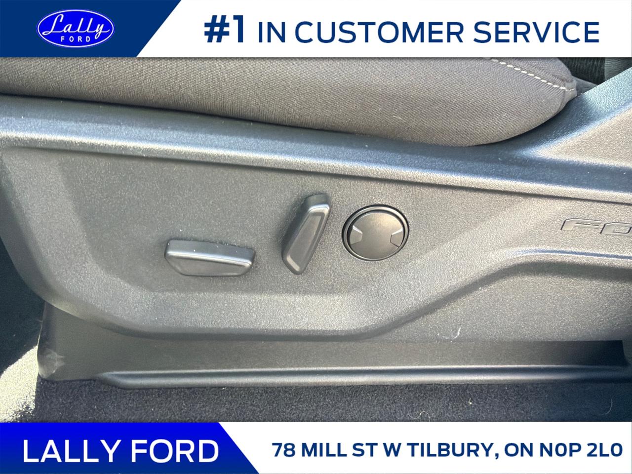 2025 Ford F-150 XLT Photo