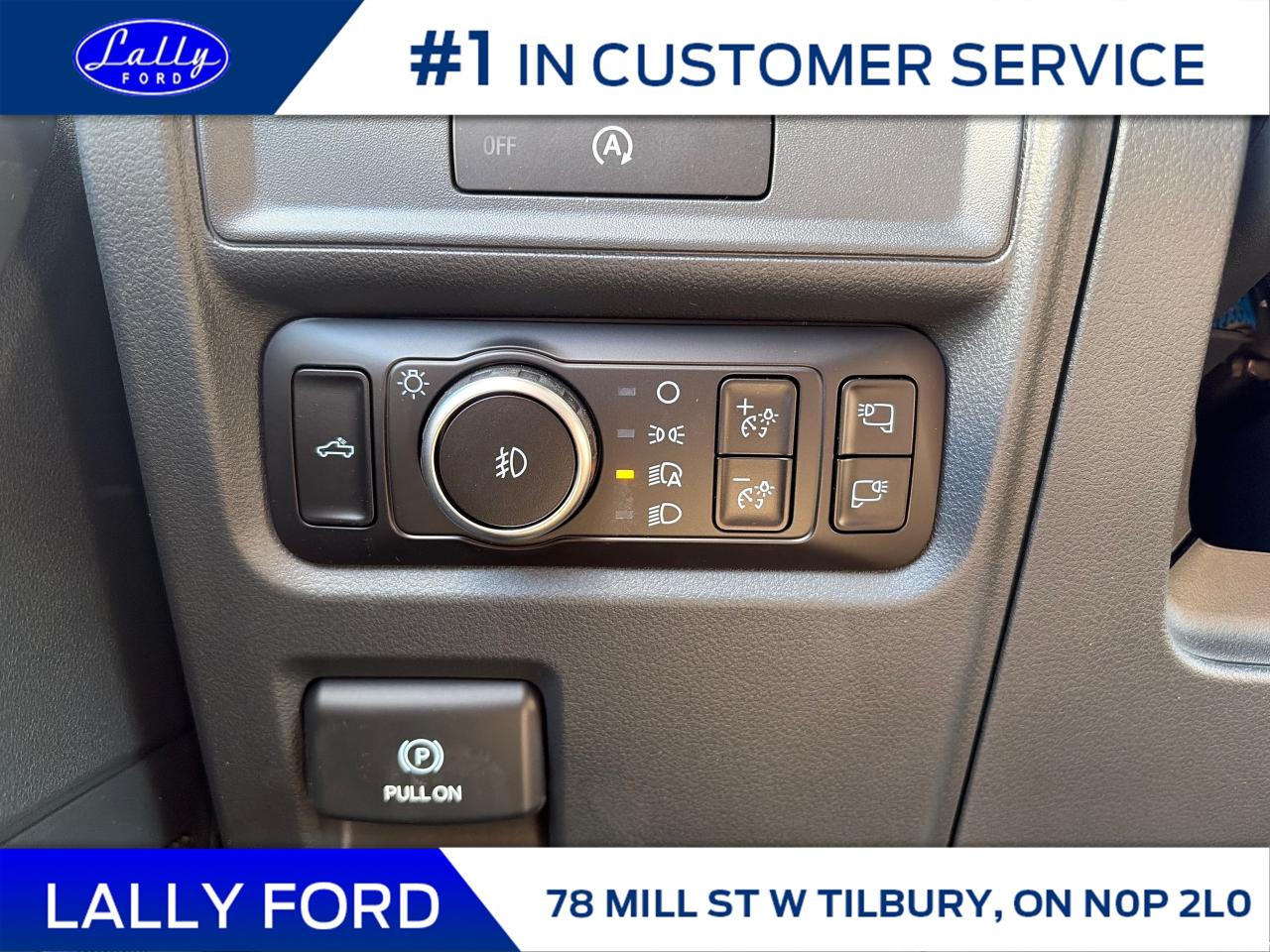 2025 Ford F-150 XLT Photo