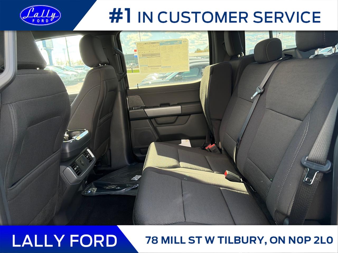 2025 Ford F-150 XLT Photo