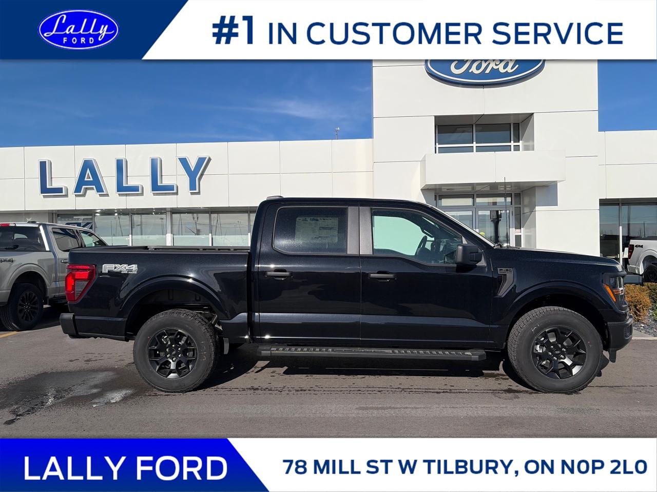 2025 Ford F-150 STX Photo