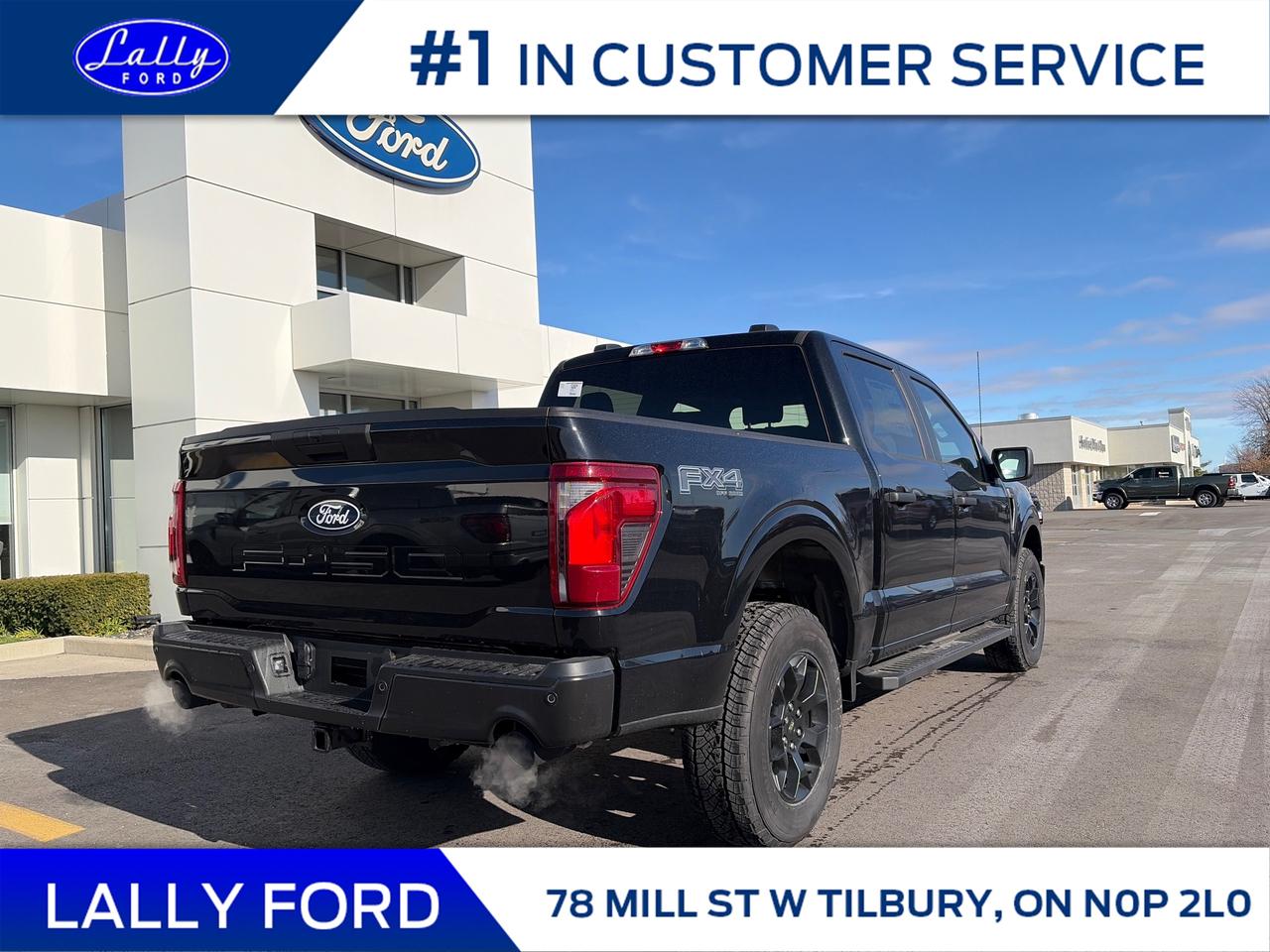 2025 Ford F-150 STX Photo