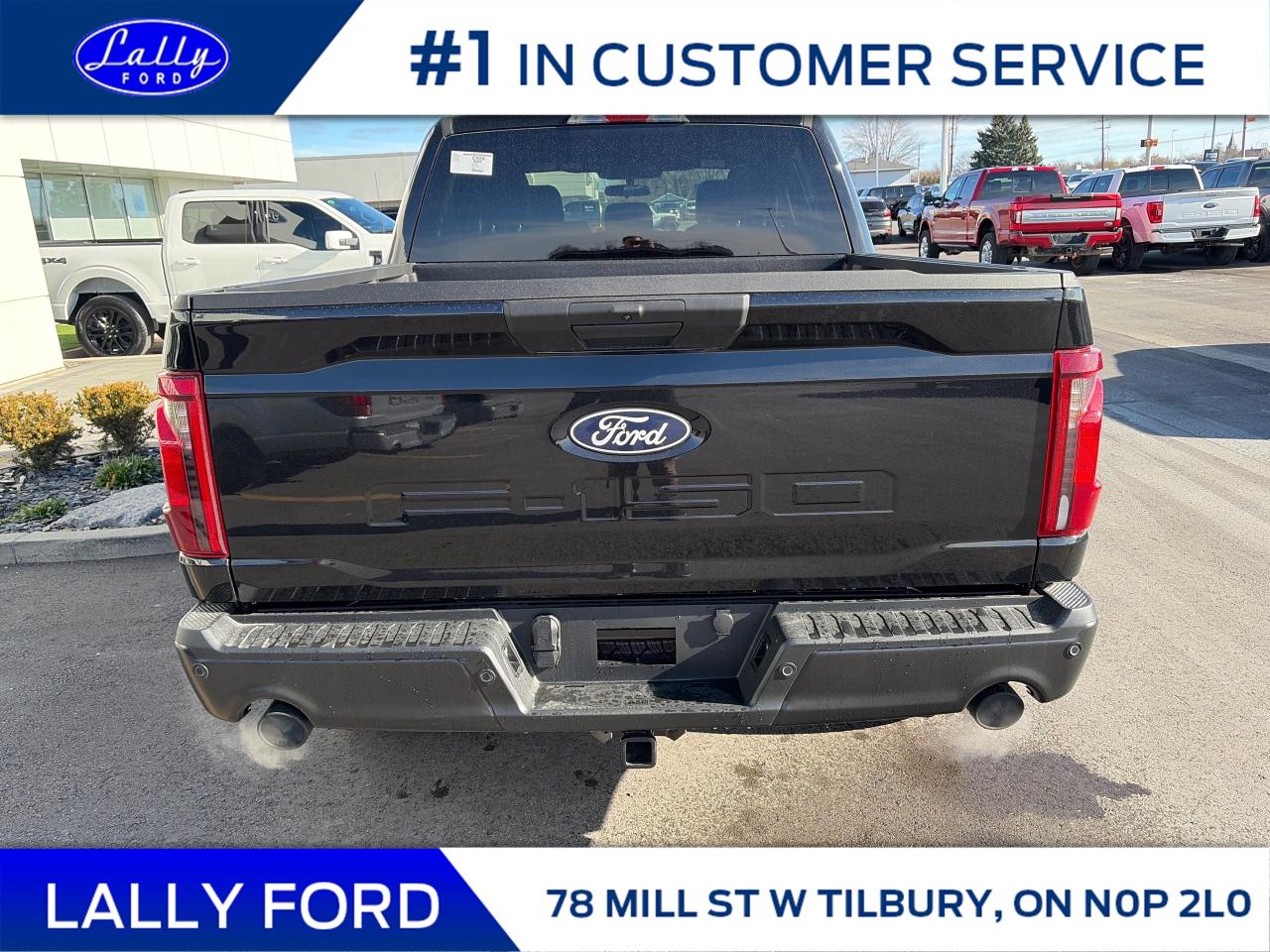 2025 Ford F-150 STX Photo3