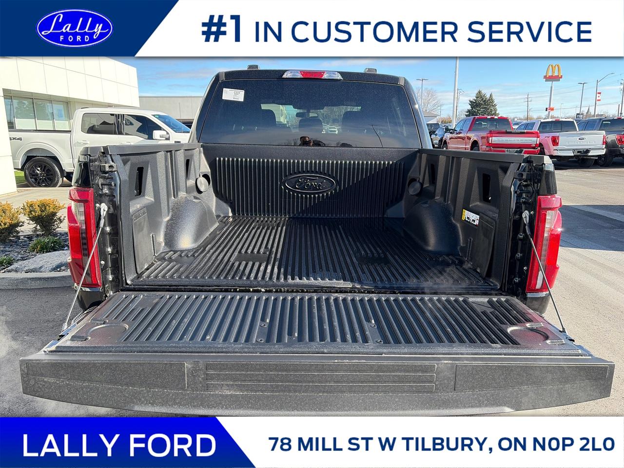 2025 Ford F-150 STX Photo