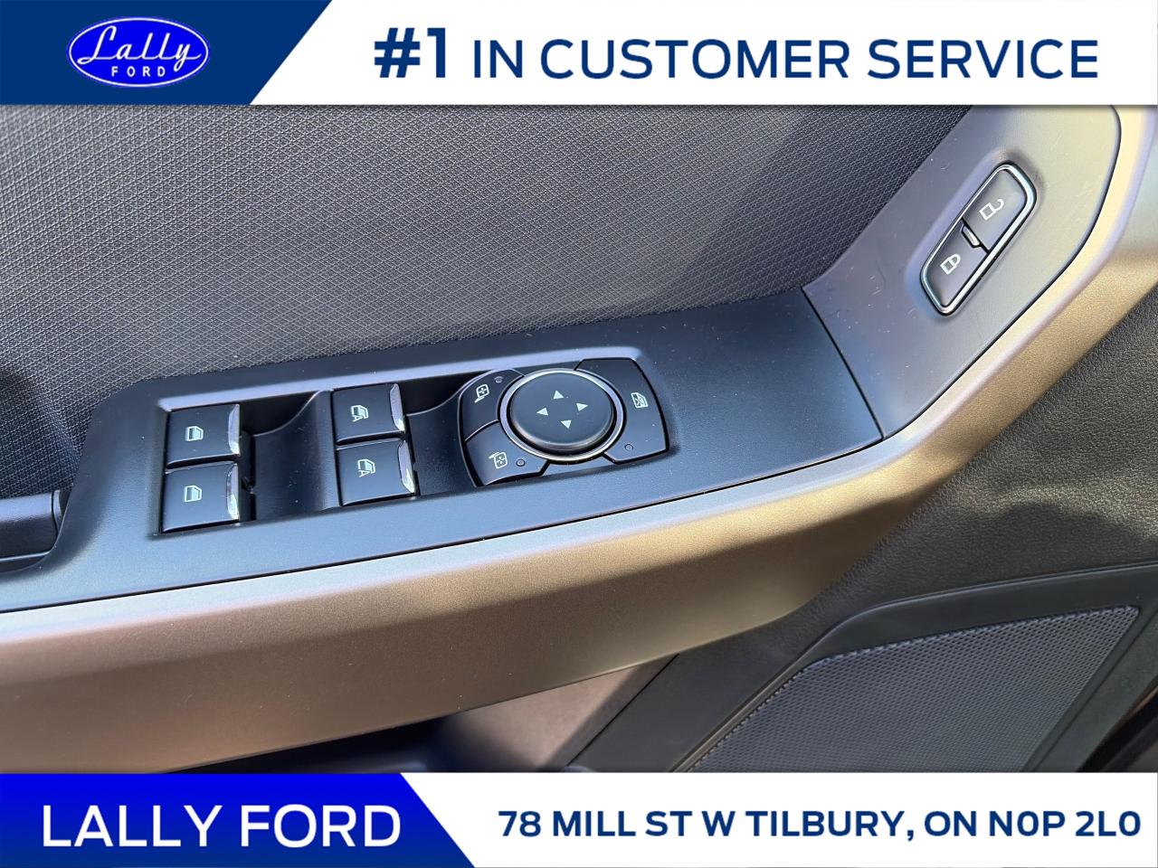 2025 Ford F-150 STX Photo