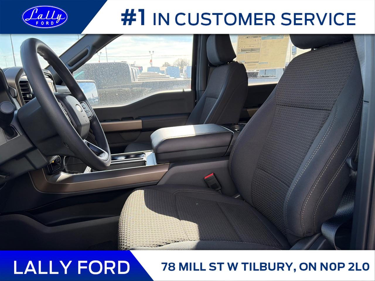 2025 Ford F-150 STX Photo