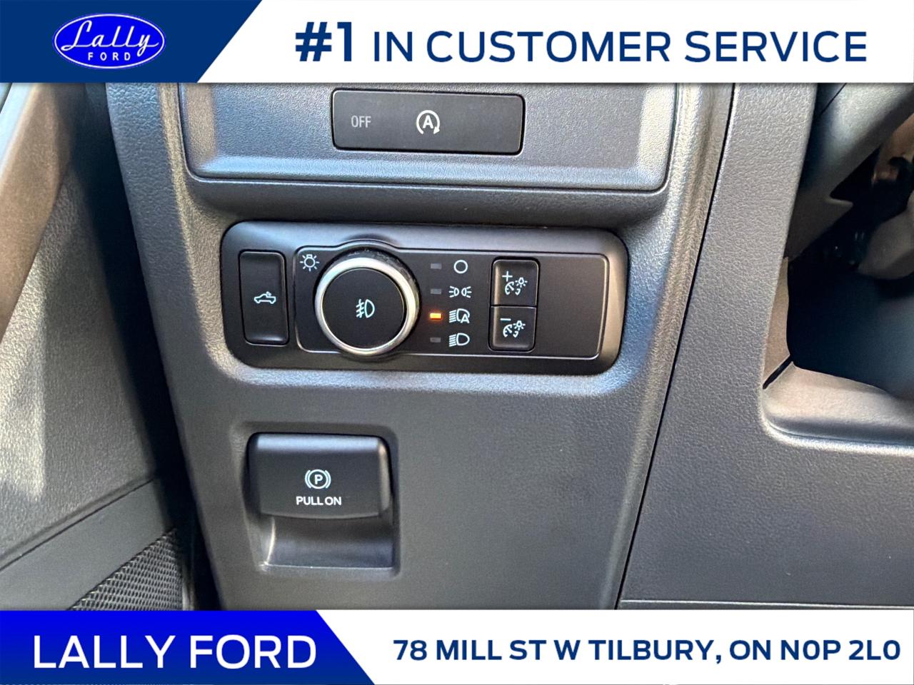 2025 Ford F-150 STX Photo