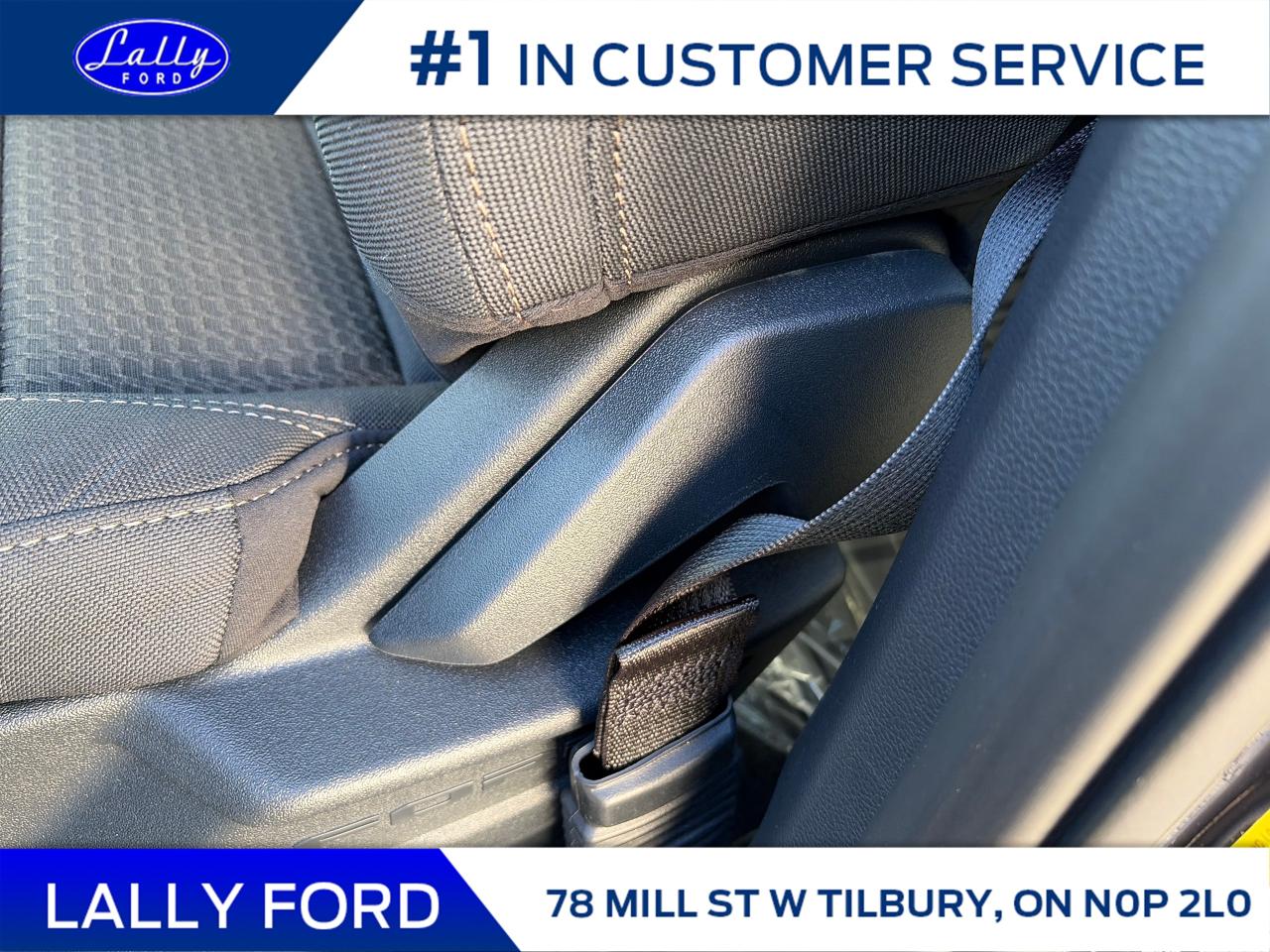 2025 Ford F-150 STX Photo