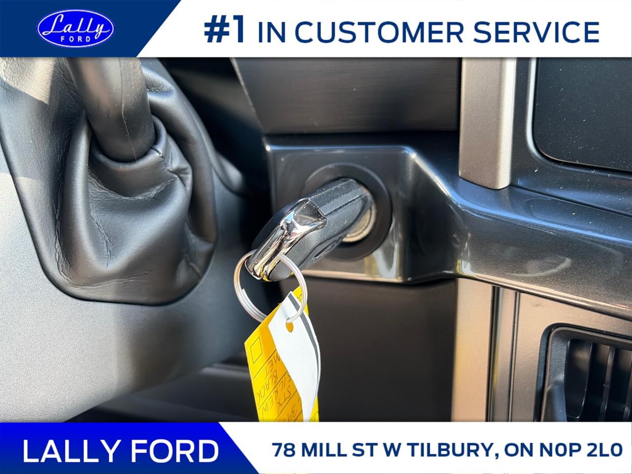 2025 Ford F-150 STX Photo