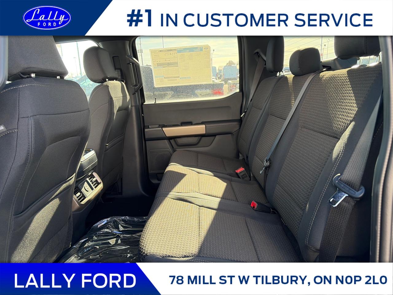 2025 Ford F-150 STX Photo