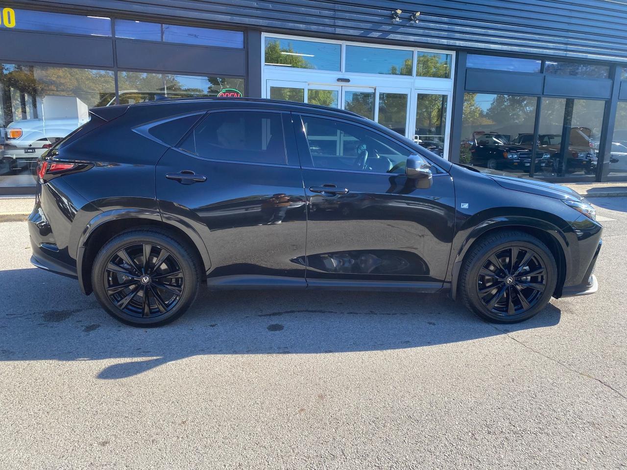 2023 Lexus NX NX 350 - Photo #7