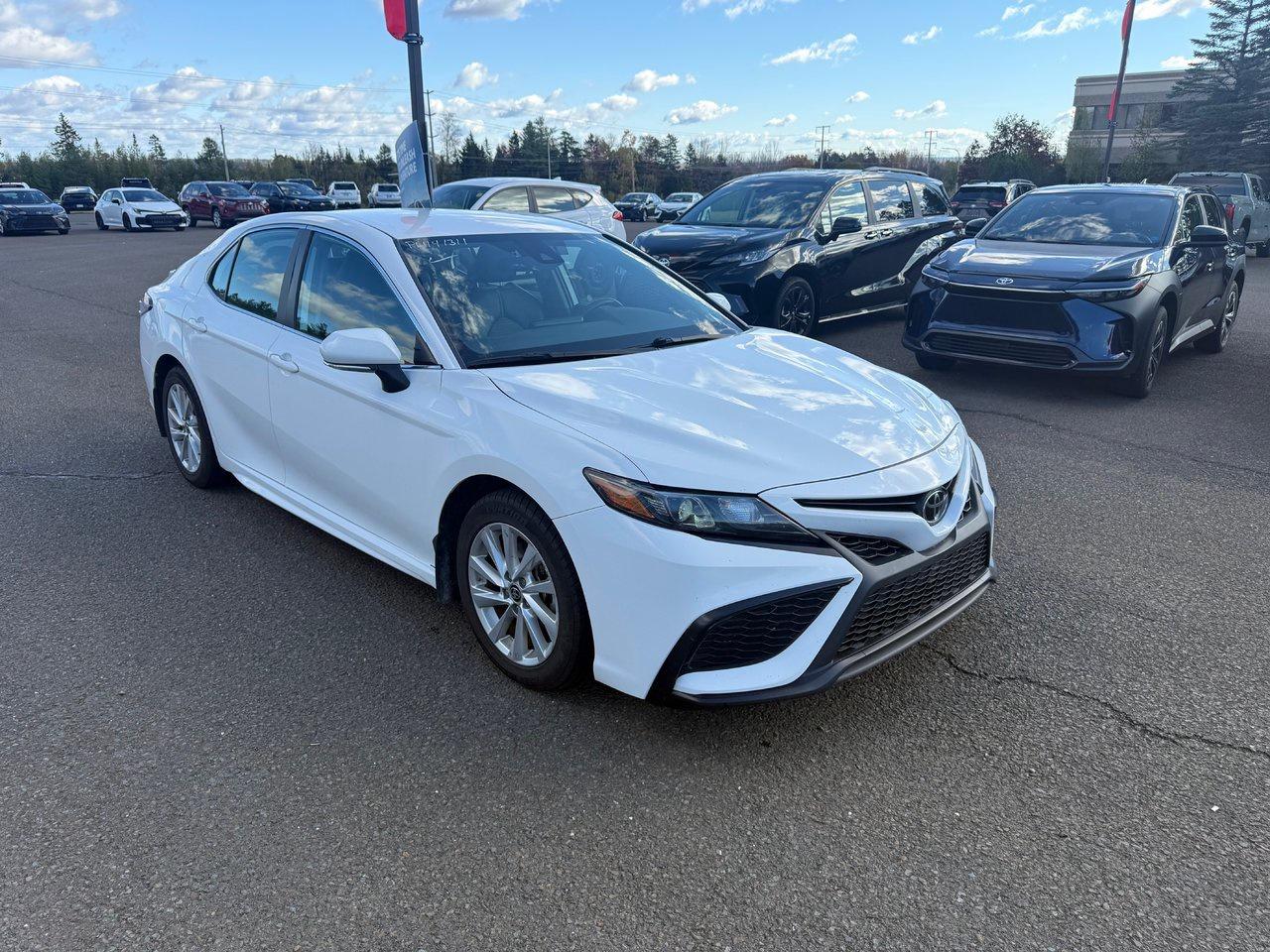 2023 Toyota Camry SE Photo2