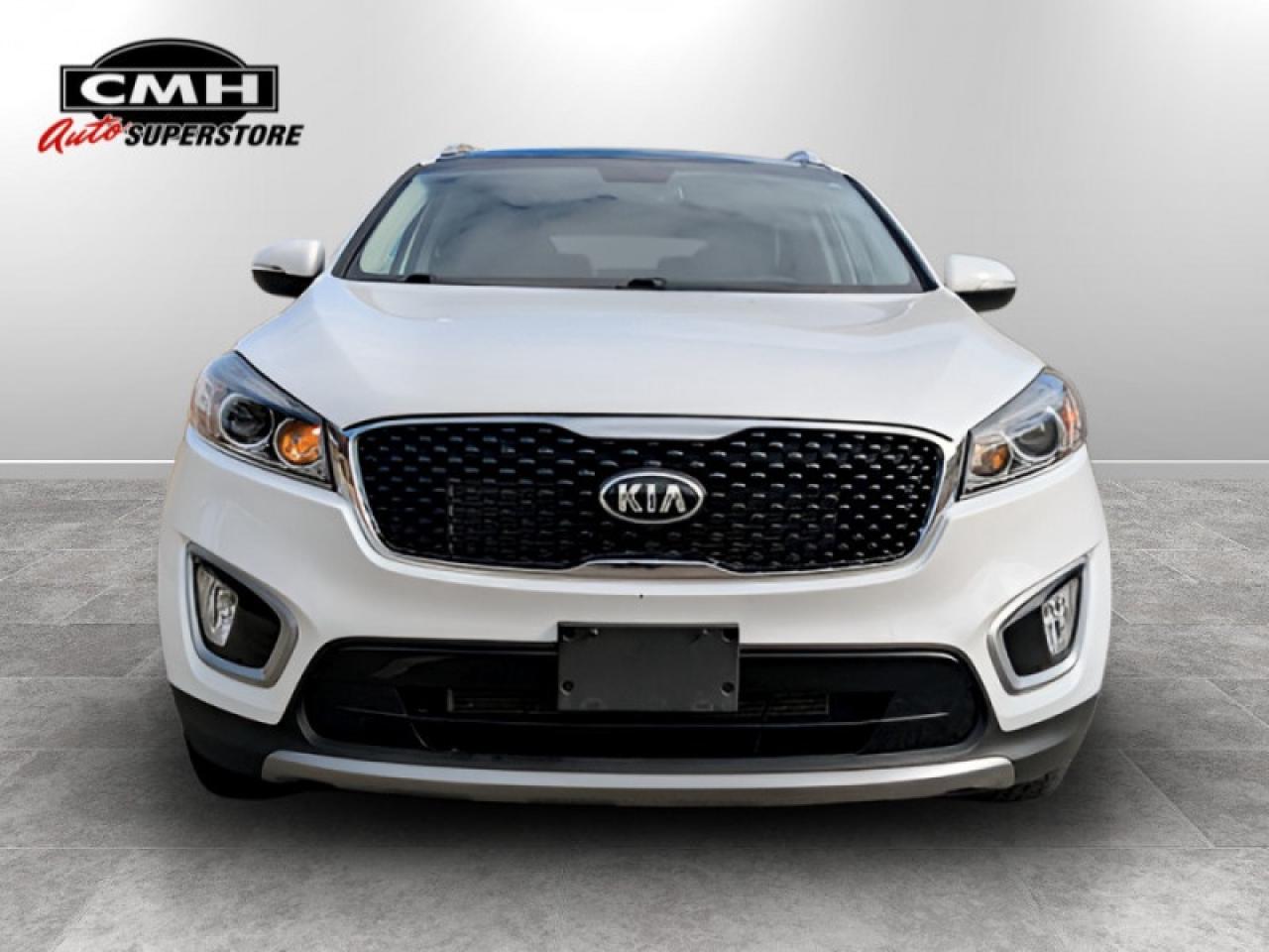 2017 Kia Sorento EX w/Advanced Touring Pkg  **LOW KMS - 1 OWNER** Photo