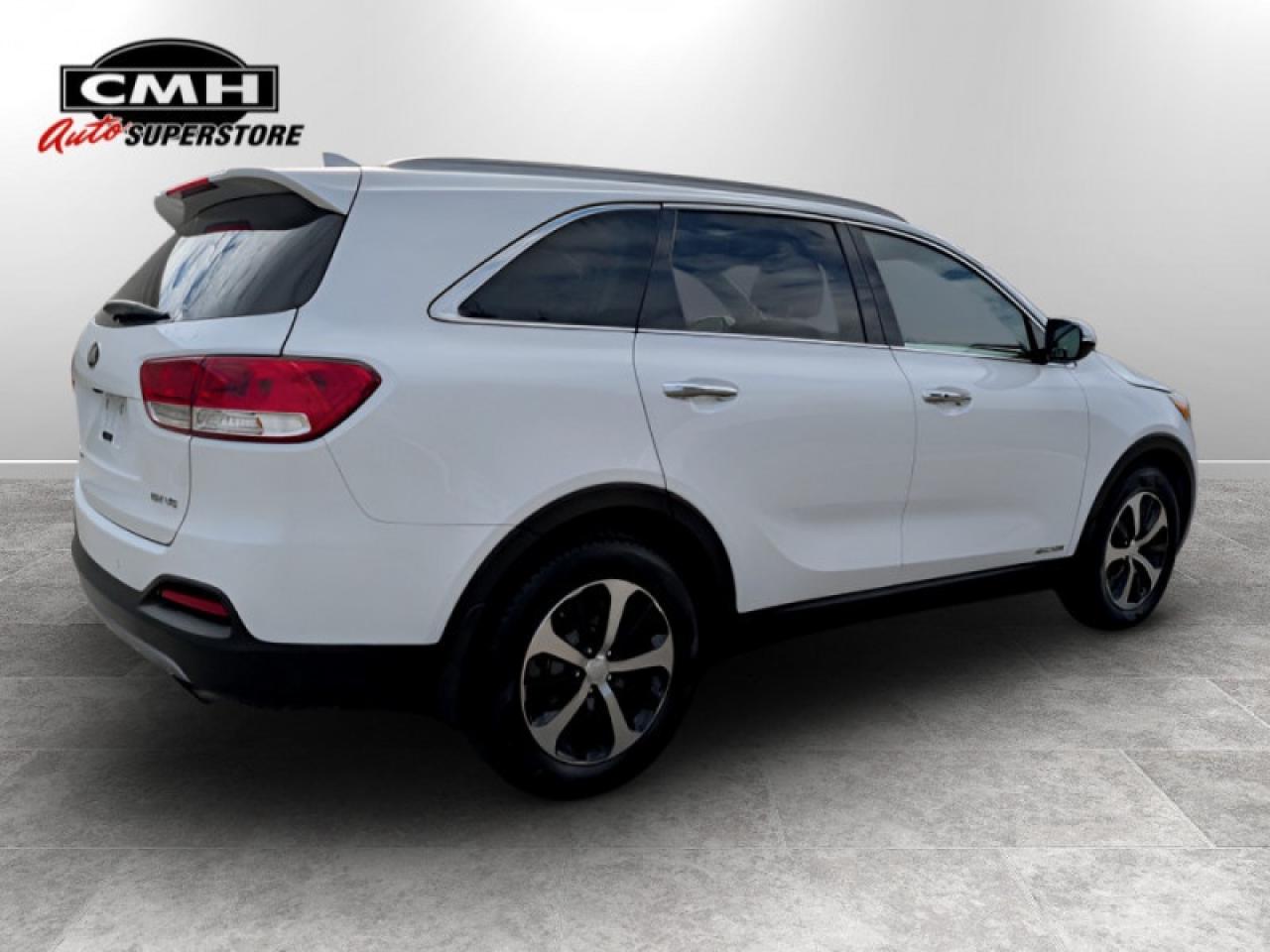 2017 Kia Sorento EX w/Advanced Touring Pkg  **LOW KMS - 1 OWNER** Photo3