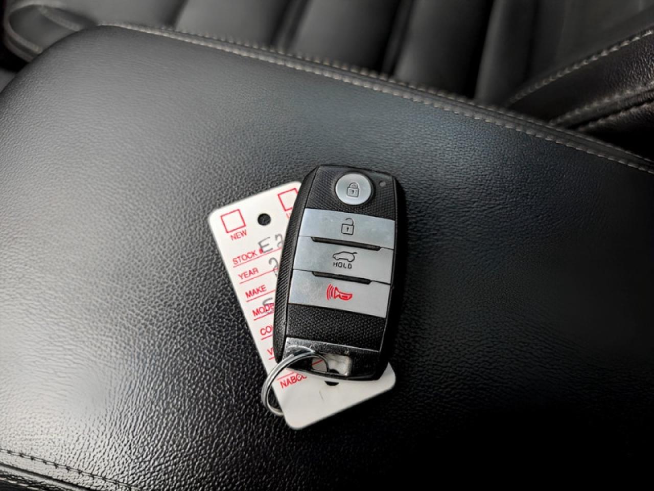 2017 Kia Sorento EX w/Advanced Touring Pkg  **LOW KMS - 1 OWNER** Photo