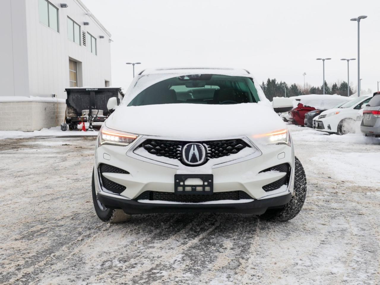 2019 Acura RDX Elite AWD  - Leather Seats - $259 B/W Photo