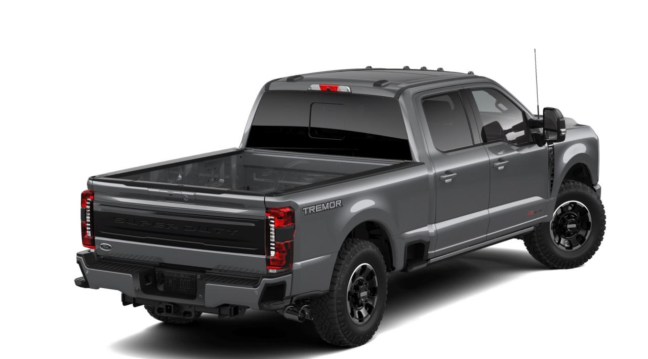 2026 Ford F-350 Super Duty SRW Platinum Photo2