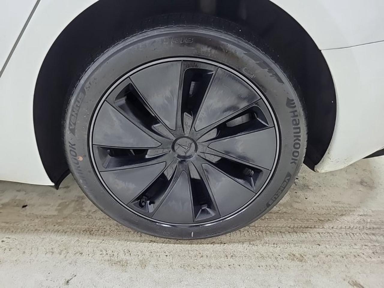 13061630