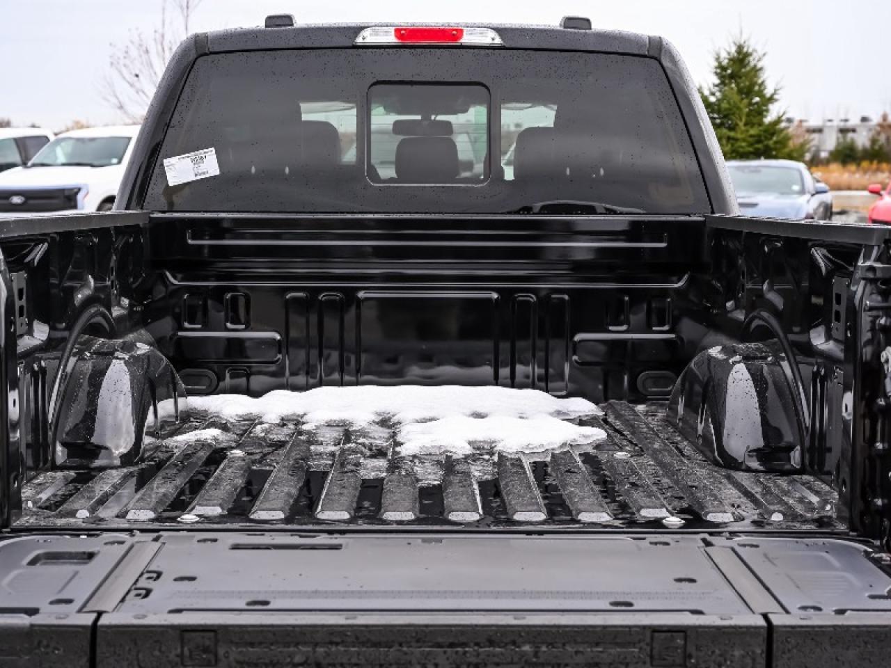 2025 Ford F-150 Lariat Photo