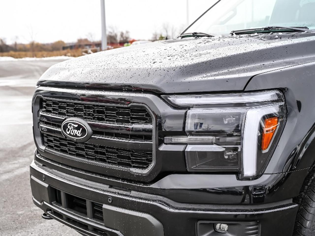 2025 Ford F-150 Lariat Photo