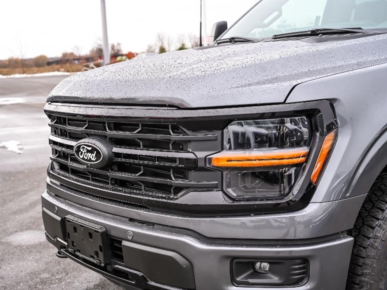 2025 Ford F-150 XLT Photo