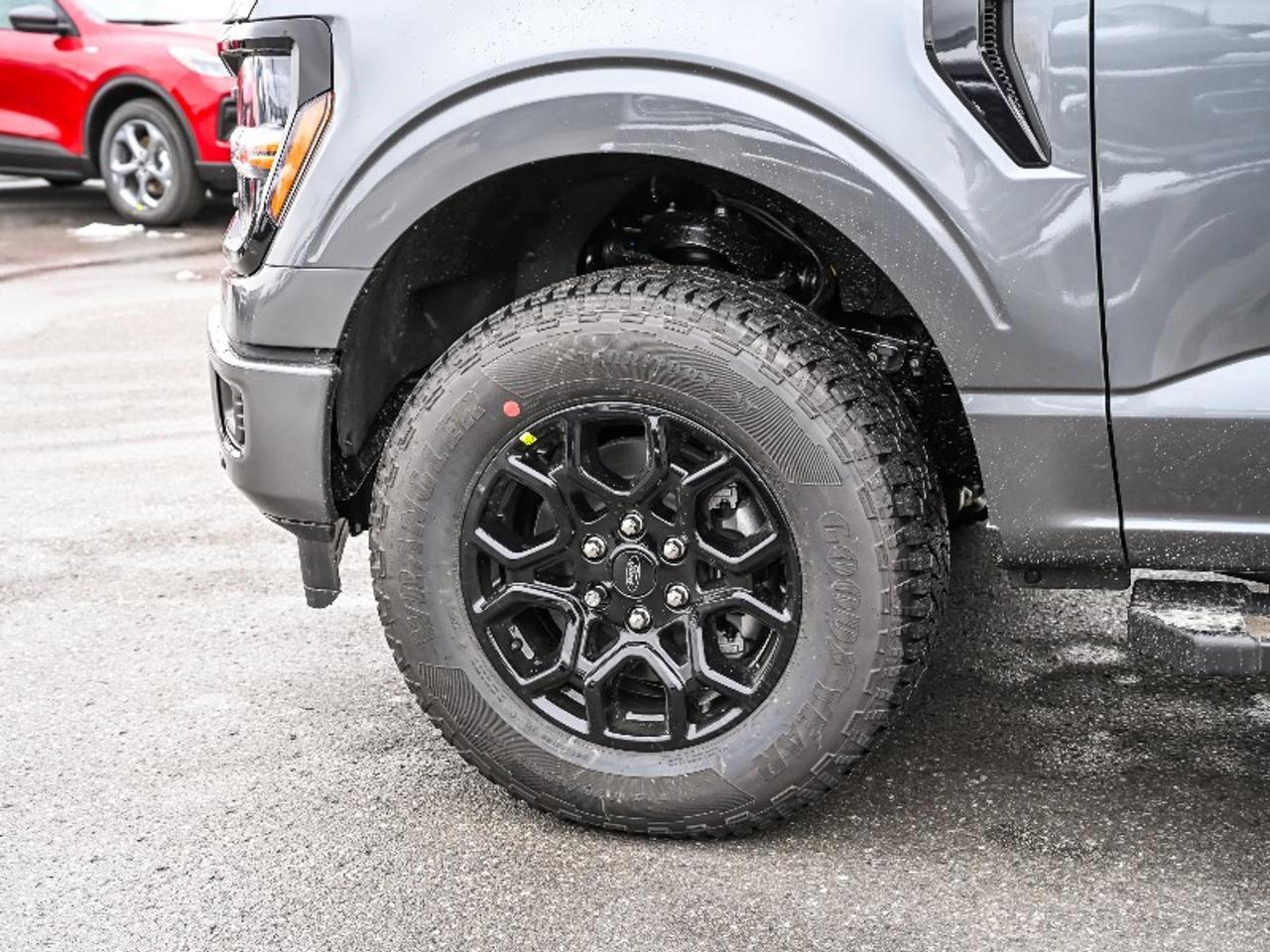 2025 Ford F-150 XLT Photo