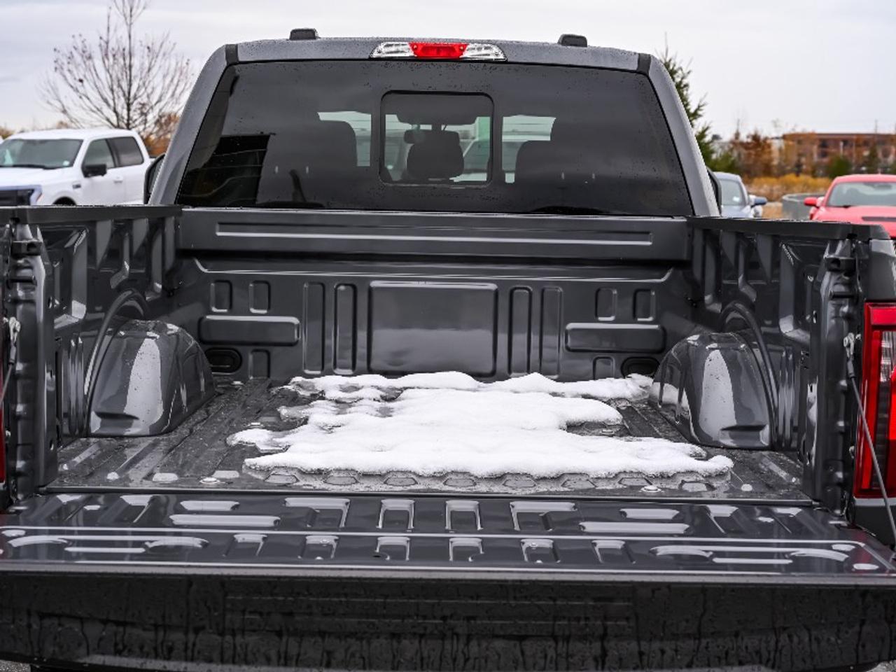 2025 Ford F-150 XLT Photo