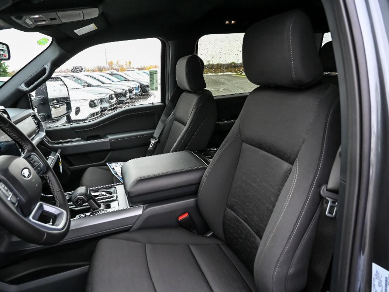 2025 Ford F-150 XLT Photo