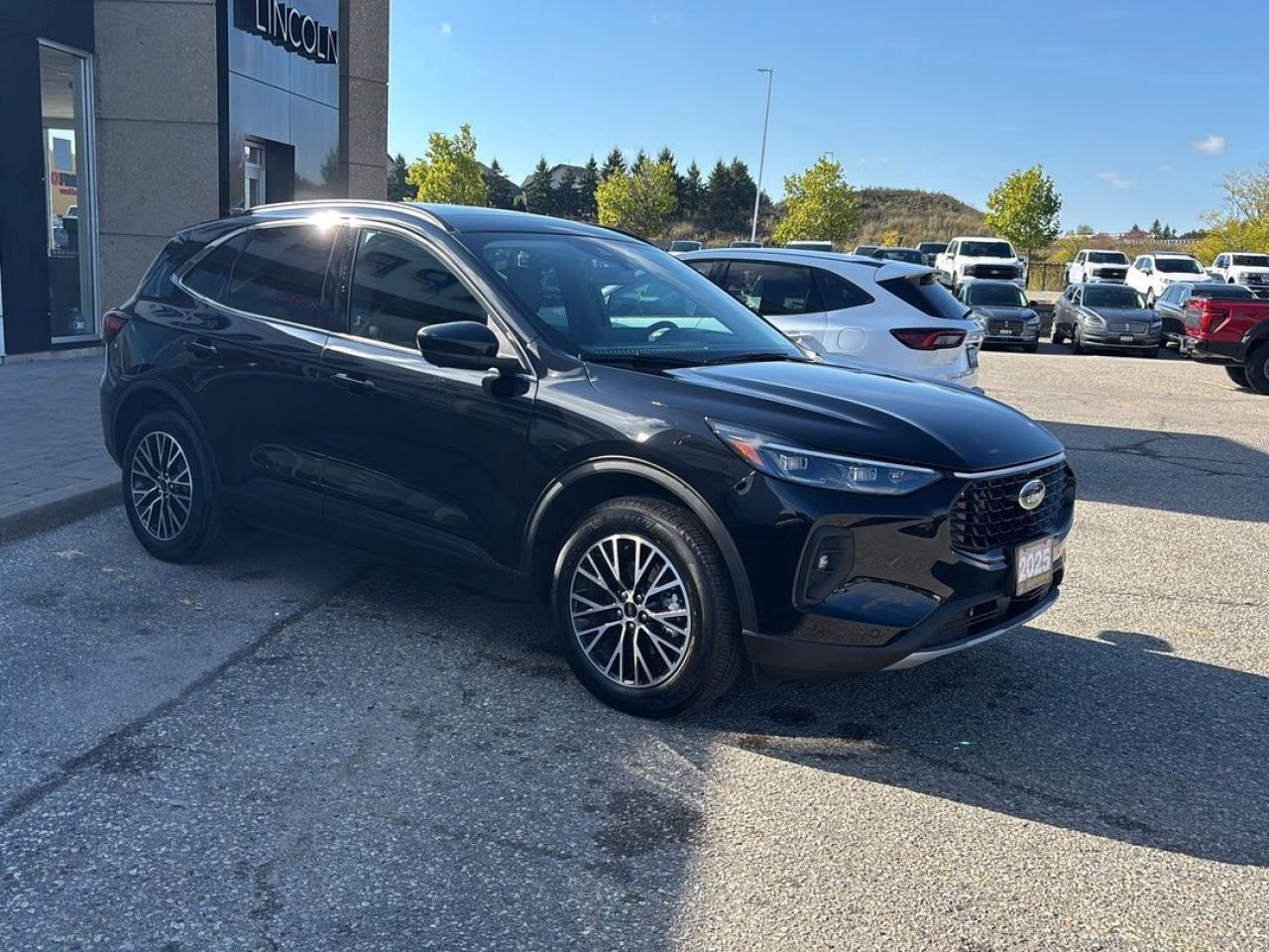 2025 Ford Escape PHEV Photo2