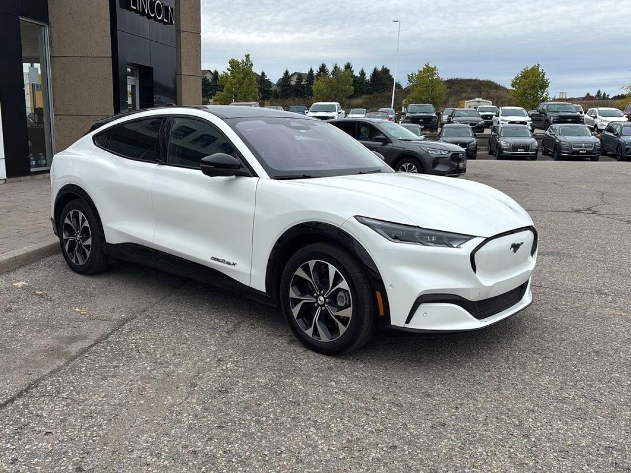 2021 Ford Mustang Mach-E Premium Photo2