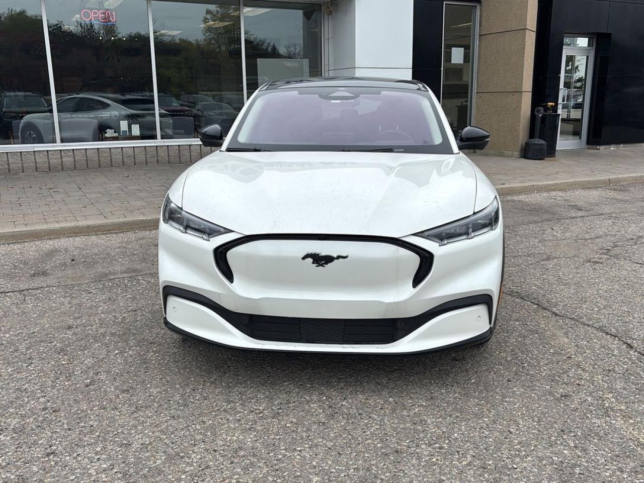 2021 Ford Mustang Mach-E Premium Photo1