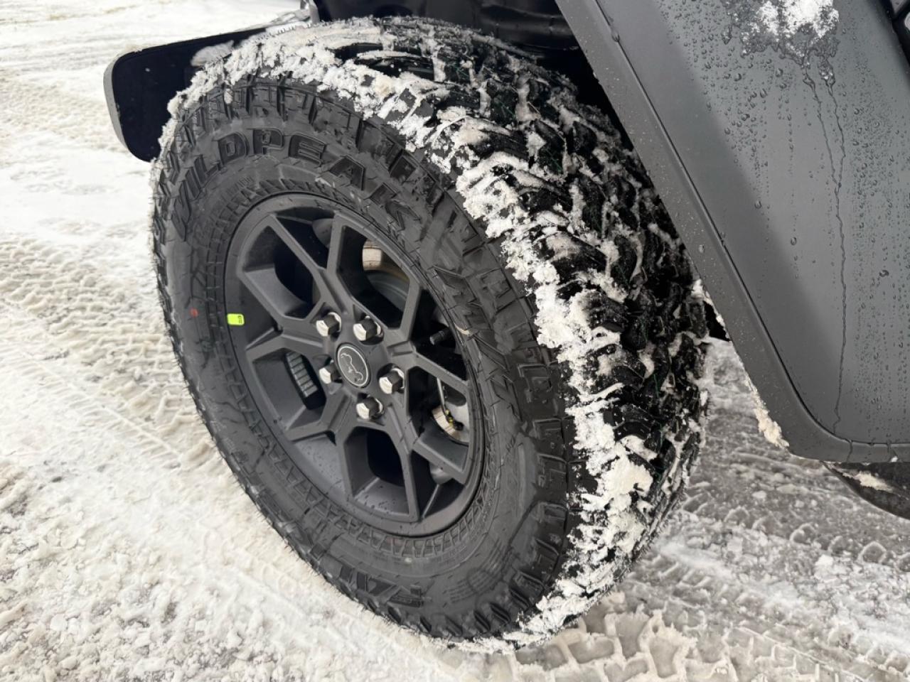 2026 Jeep Wrangler Willys  - Freedom Top - $179.28 /Wk Photo