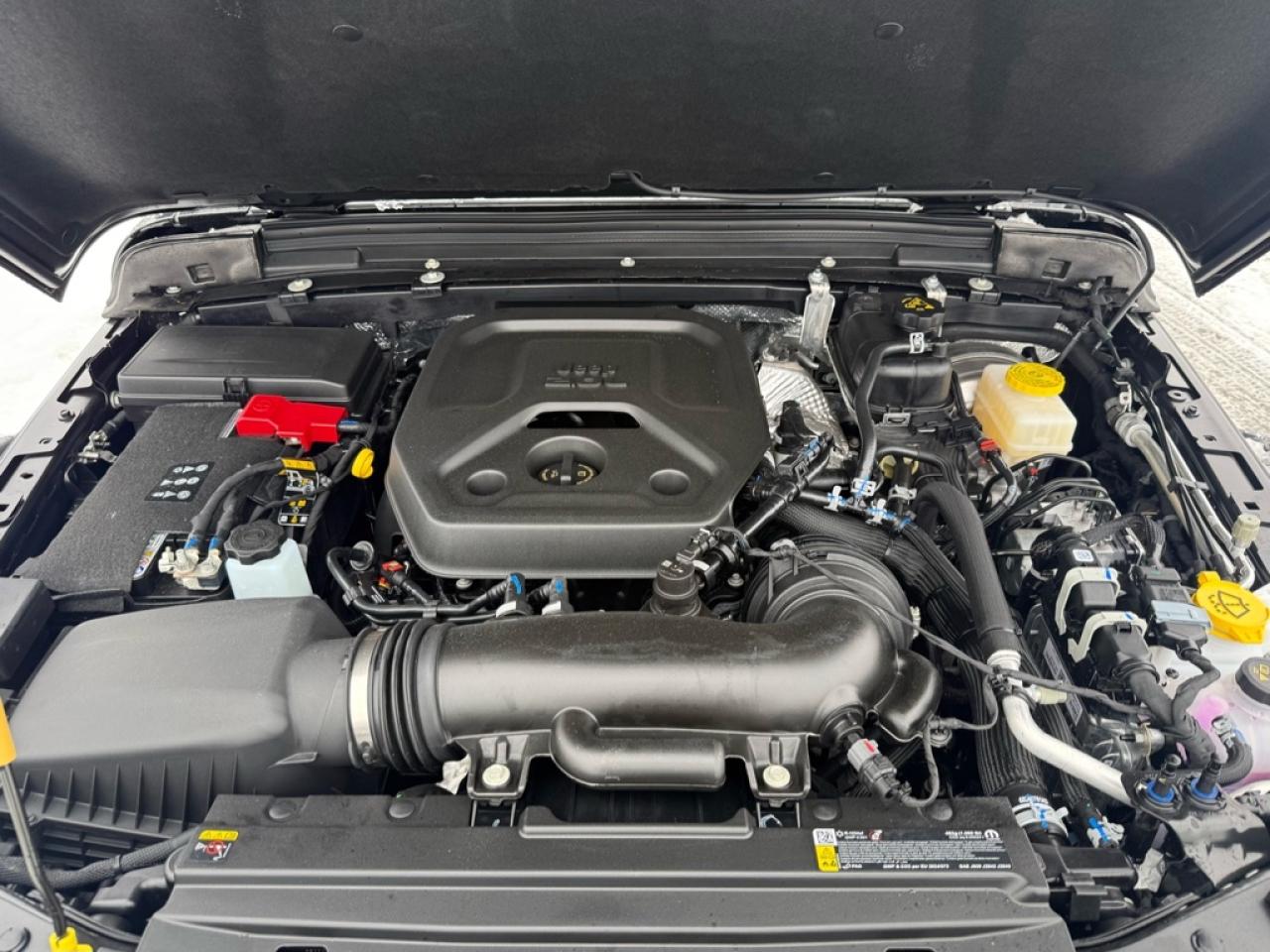 2026 Jeep Wrangler Willys  - Freedom Top - $179.28 /Wk Photo