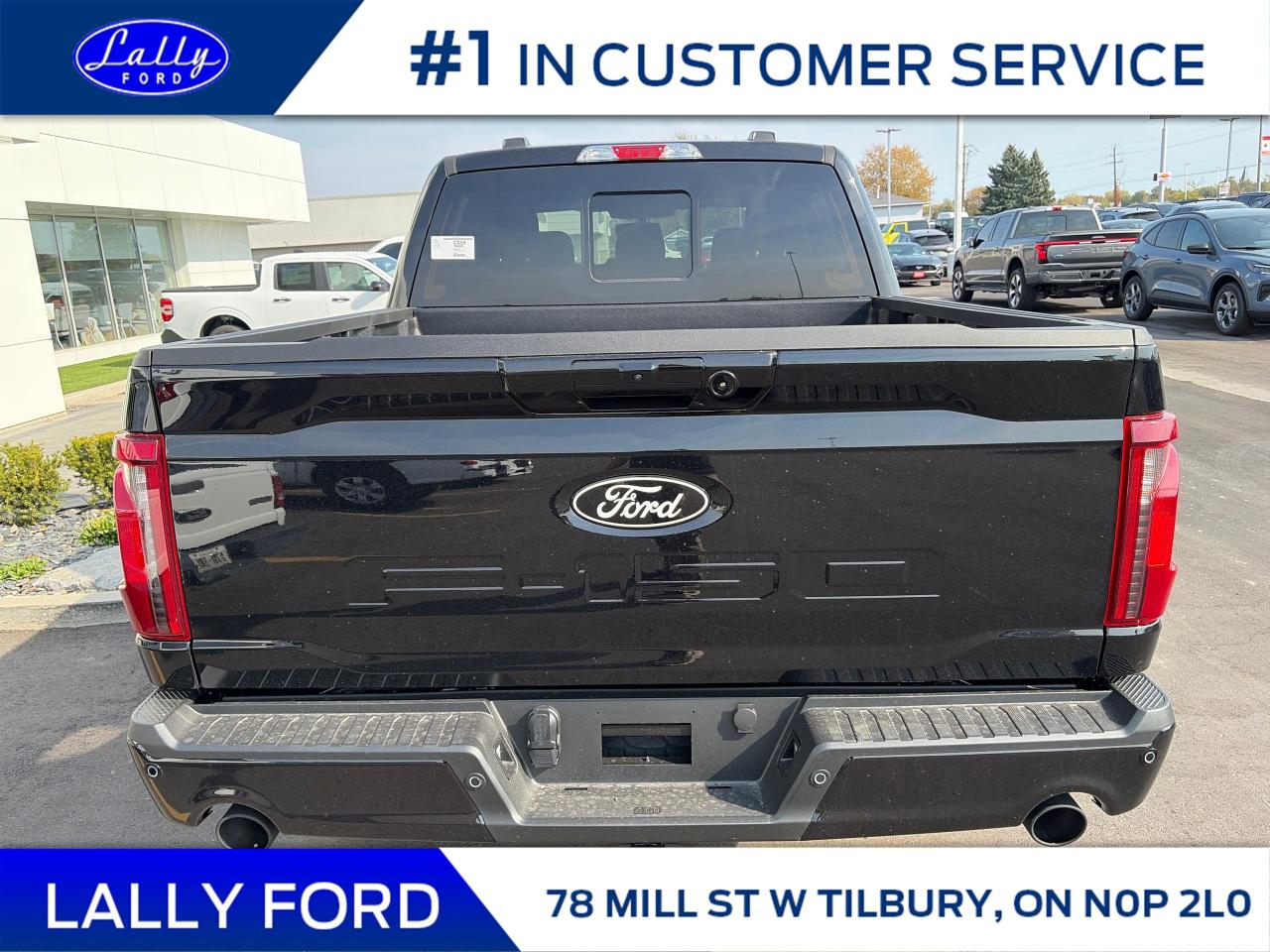 2025 Ford F-150 XLT Photo3