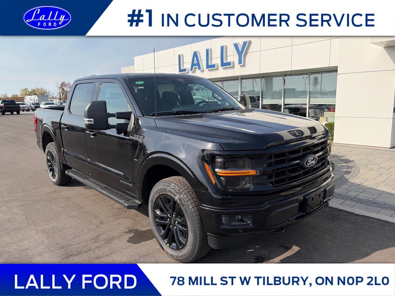 New 2025 Ford F-150 XLT for sale in Tilbury, ON