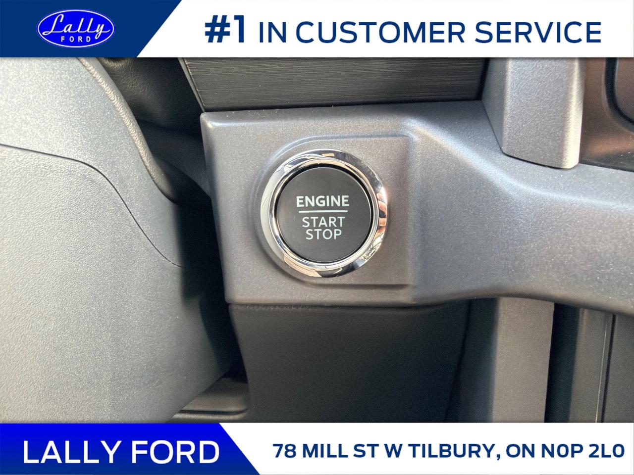 2025 Ford F-150 XLT Photo