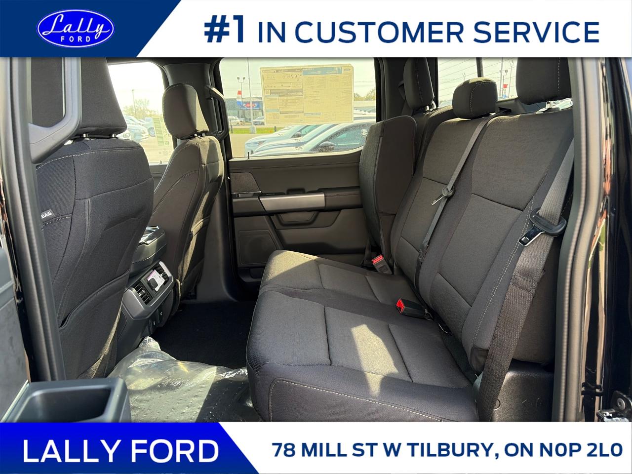 2025 Ford F-150 XLT Photo