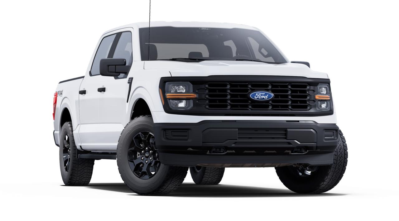 2025 Ford F-150 STX® Photo5