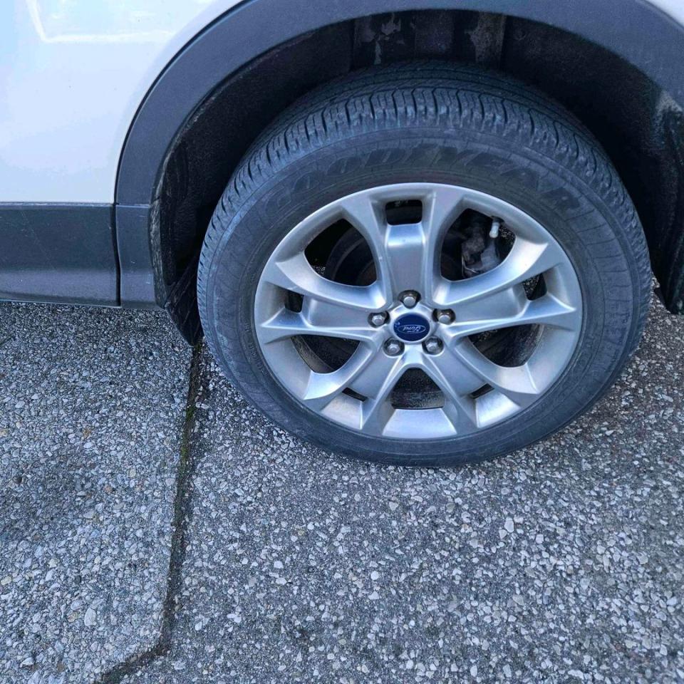 13062566