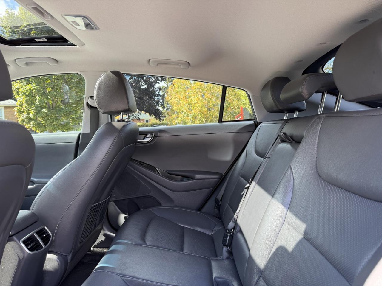 2020 Hyundai IONIQ Electric Limited - Photo #15