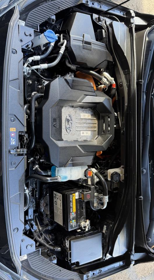 2020 Hyundai IONIQ Electric Limited - Photo #10