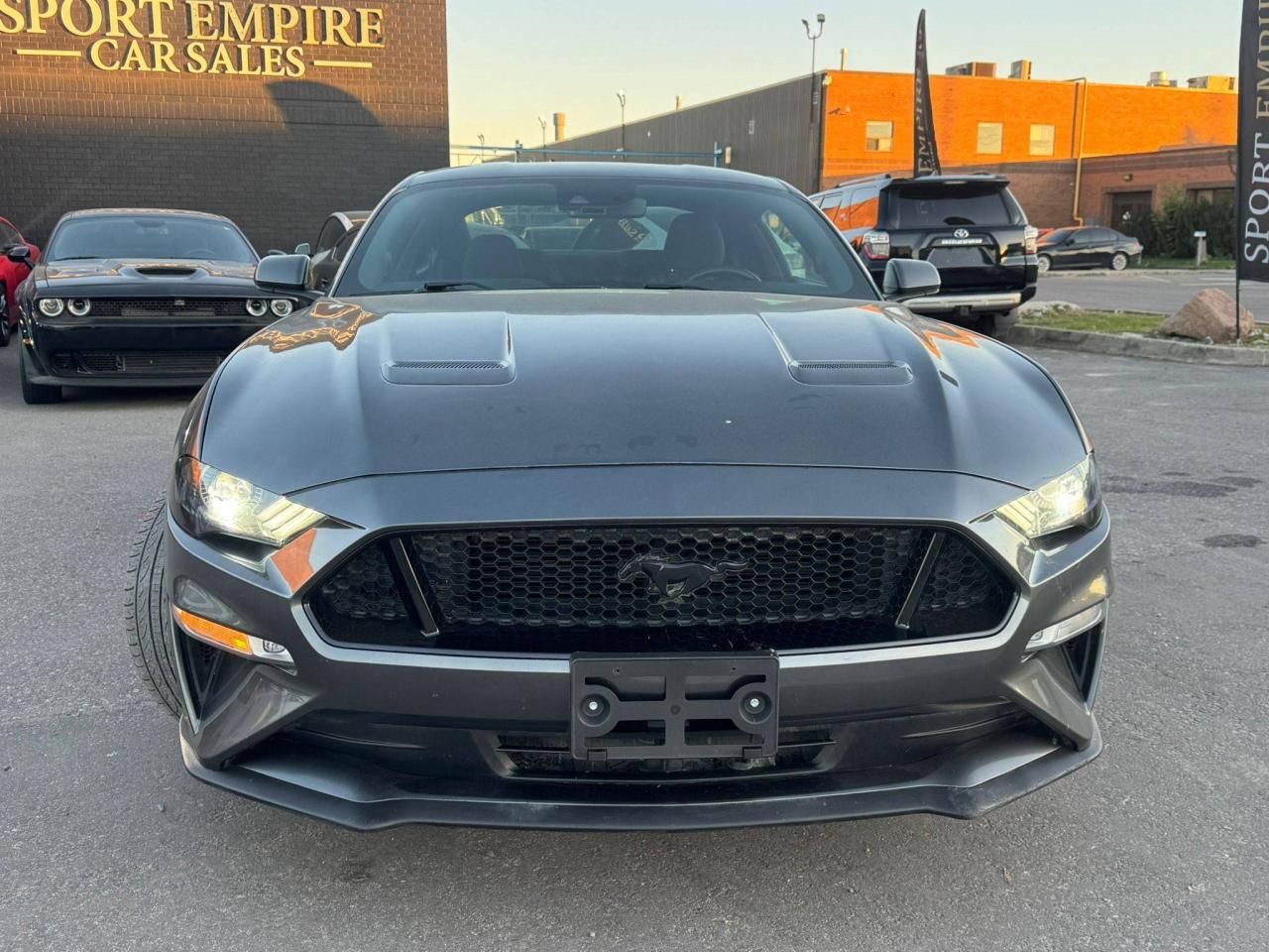 2019 Ford Mustang GT Fastback - Photo #5