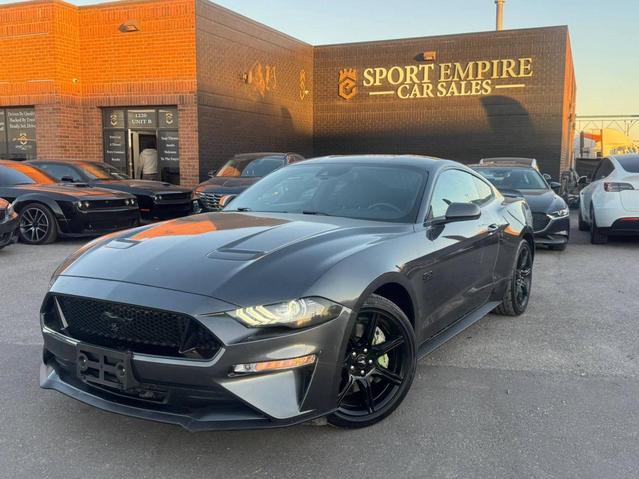 2019 Ford Mustang GT Fastback - Photo #3