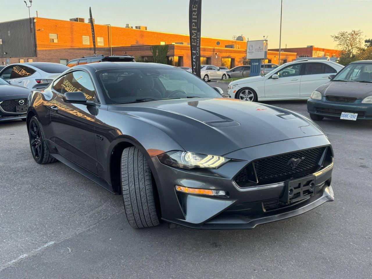 2019 Ford Mustang GT Fastback - Photo #4