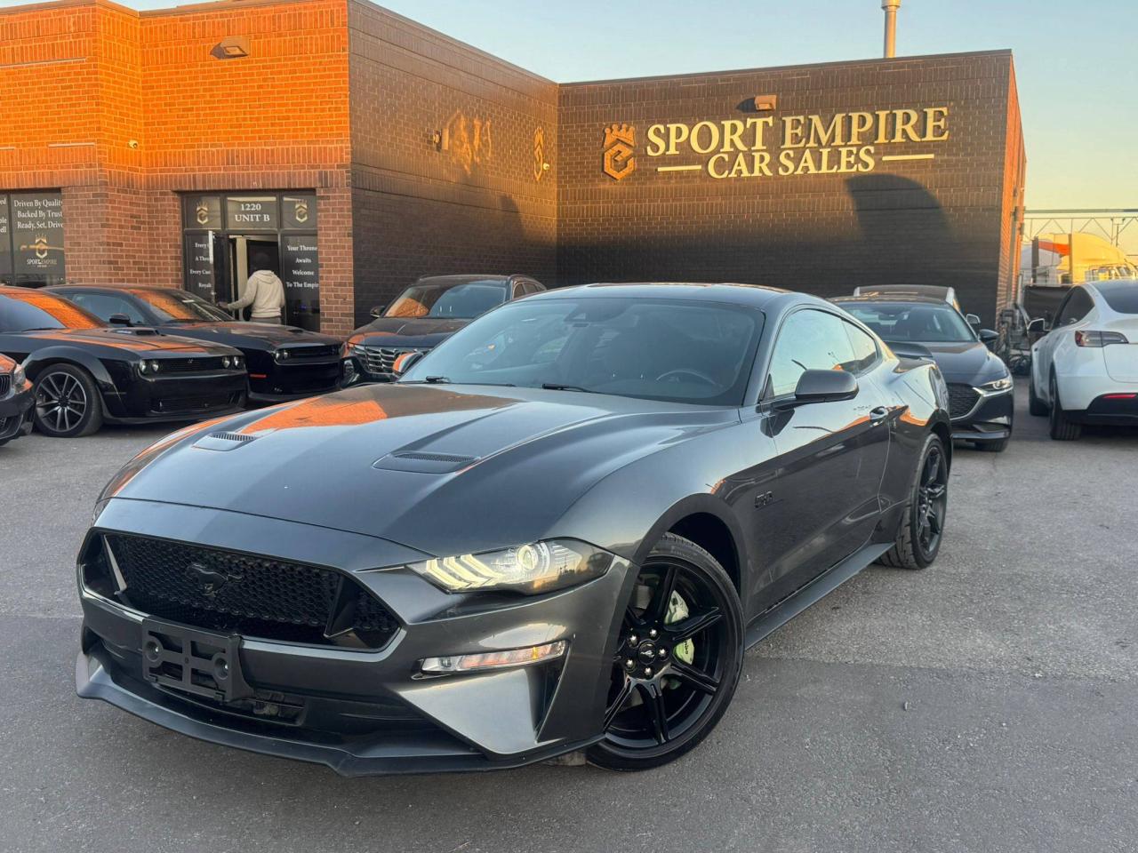 2019 Ford Mustang GT Fastback - Photo #6