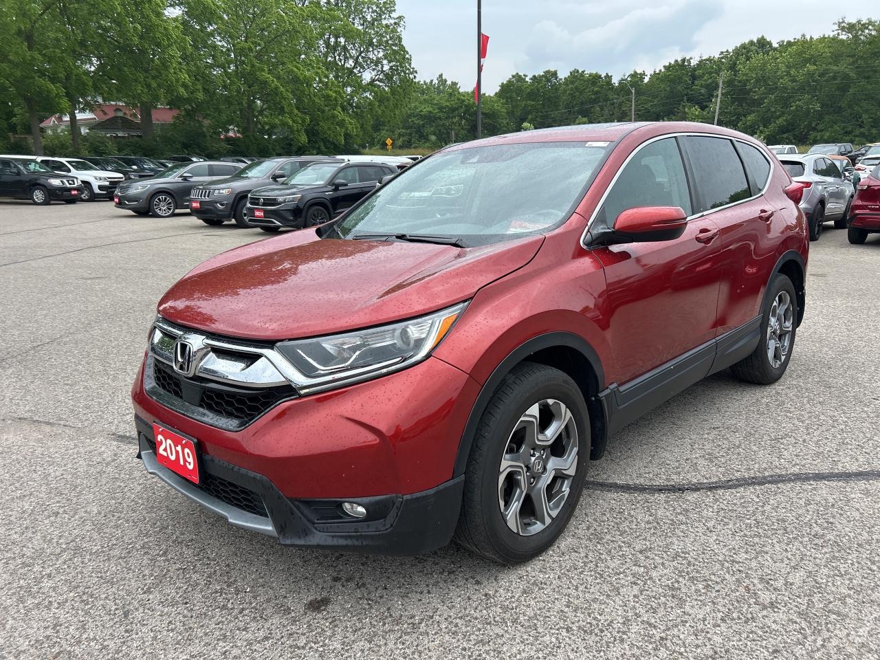 2019 Honda CR-V EX-L AWD, REMOTE START, SUNROOF, LEATHER! - Photo #2